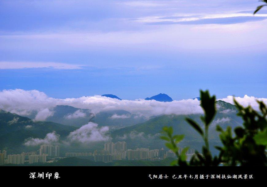 敏捷的白球