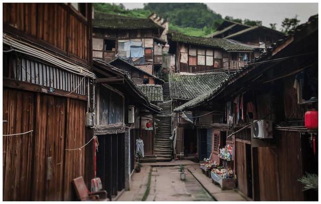 辛芷蕾穿了顶级高定!《繁花》的“李李”实火,优雅美丽大方!